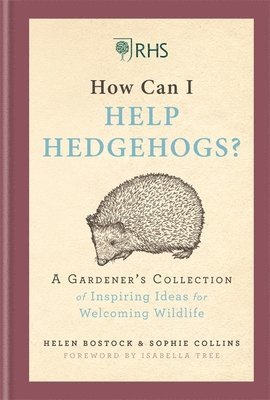 RHS How Can I Help Hedgehogs? 1