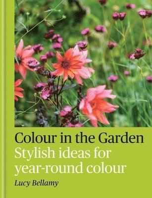 Lucy Bellamy - Colour in the Garden, Inbunden