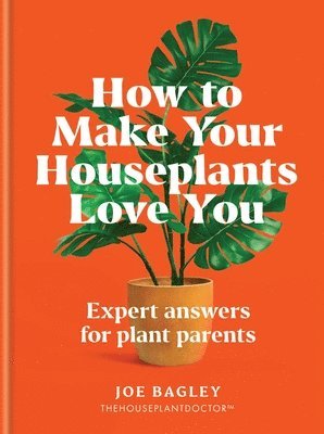 How to Make Your Houseplants Love You 1