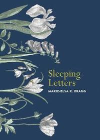 bokomslag Sleeping Letters