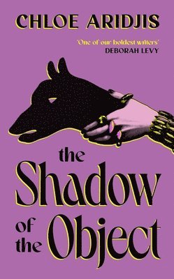 Shadow of the Object