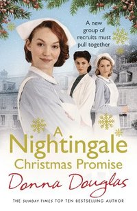 bokomslag A Nightingale Christmas Promise: Volume 10
