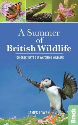 James Lowen - A Summer of British Wildlife, Häftad