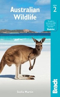 bokomslag Australian Wildlife