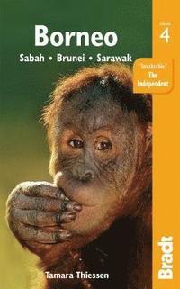 bokomslag Borneo
