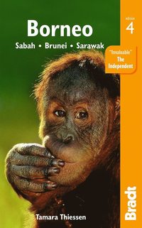 bokomslag Borneo