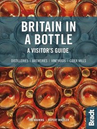 bokomslag Britain in a Bottle