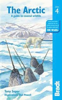 bokomslag Arctic