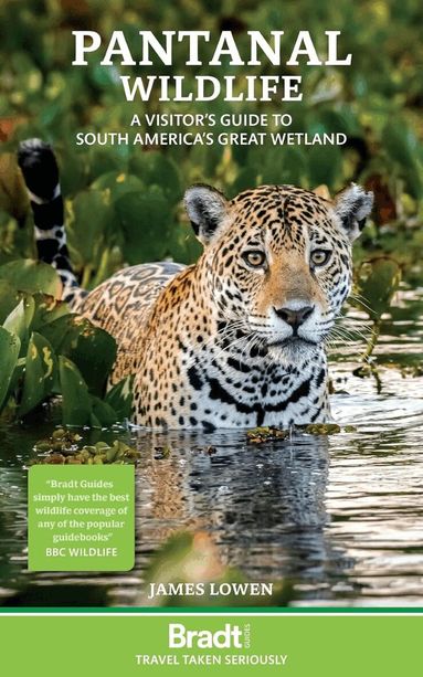 James Lowen - Pantanal Wildlife, Häftad