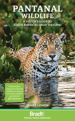 James Lowen - Pantanal Wildlife, Häftad