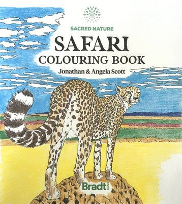 bokomslag Sacred Nature Safari Colouring Book