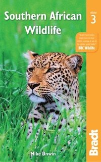 bokomslag Southern African Wildlife