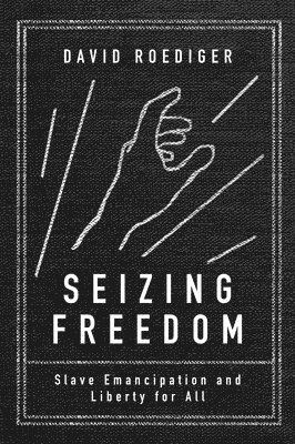 David R Roediger, David R. Roediger - Seizing Freedom, Häftad