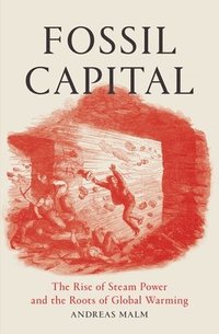 bokomslag Fossil Capital