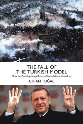 bokomslag Fall of the Turkish Model