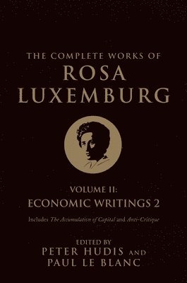 bokomslag The Complete Works of Rosa Luxemburg, Volume II