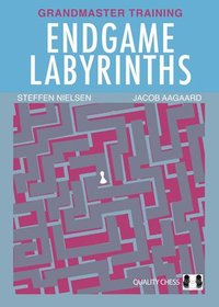 bokomslag Endgame Labyrinths