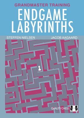 Endgame Labyrinths 1