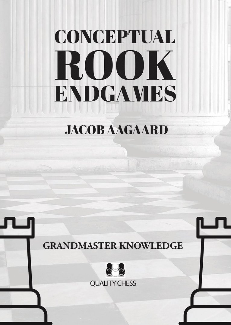 Conceptual Rook Endgames 1