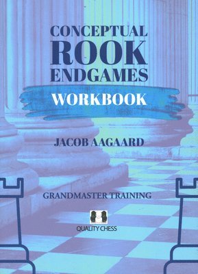 bokomslag Conceptual Rook Endgames Workbook