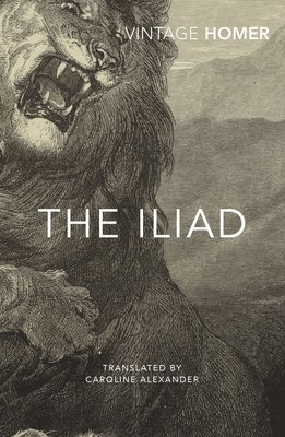 Homer - Iliad, Häftad