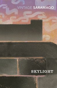 bokomslag Skylight