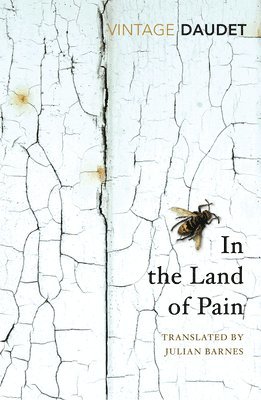 Alphonse Daudet - In the Land of Pain, Häftad