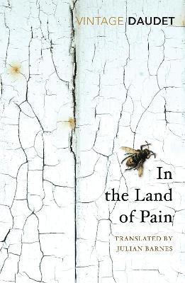 In the Land of Pain 1