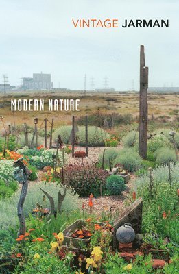 bokomslag Modern Nature