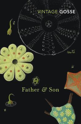 Father and Son 1