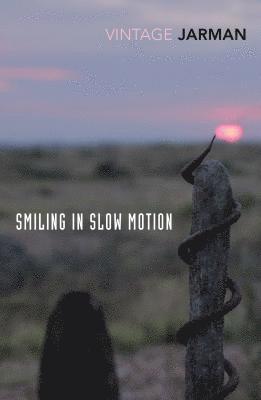 Derek Jarman - Smiling in Slow Motion, Häftad