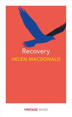 Helen Macdonald - Recovery, Häftad
