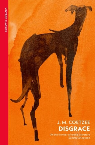 J.M. Coetzee - Disgrace, Häftad