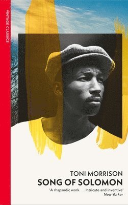 Toni Morrison - Song of Solomon, Häftad