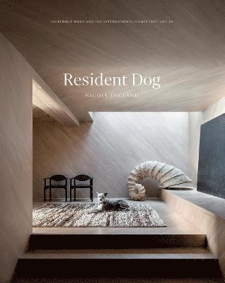 Resident Dog (Volume 2) 1