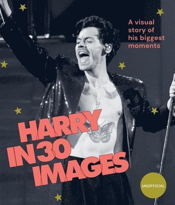 bokomslag Harry in 30 Images