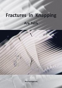 bokomslag Fractures in Knapping