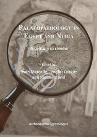 bokomslag Palaeopathology in Egypt and Nubia