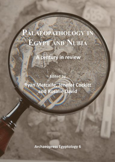Ryan Metcalfe, Jenefer Metcalfe, Rosalie David - Palaeopathology in Egypt and Nubia, Häftad