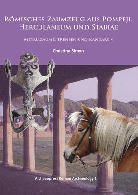 bokomslag Römisches Zaumzeug aus Pompeji, Herculaneum und Stabiae