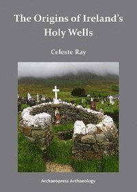 bokomslag The Origins of Irelands Holy Wells