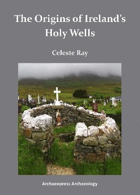 bokomslag The Origins of Irelands Holy Wells