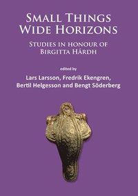 bokomslag Small Things - Wide Horizons