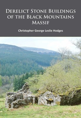 bokomslag Derelict Stone Buildings of the Black Mountains Massif