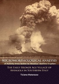 bokomslag Micromorphological Analysis of Activity Areas Sealed by Vesuvius Avellino Eruption
