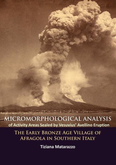bokomslag Micromorphological Analysis of Activity Areas Sealed by Vesuvius' Avellino Eruption