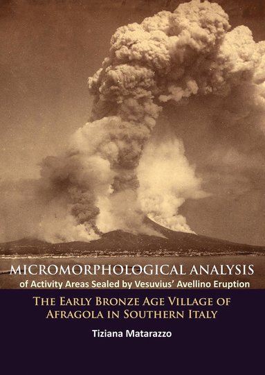 bokomslag Micromorphological Analysis of Activity Areas Sealed by Vesuvius Avellino Eruption