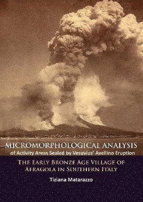 Micromorphological Analysis of Activity Areas Sealed by Vesuvius Avellino Eruption 1