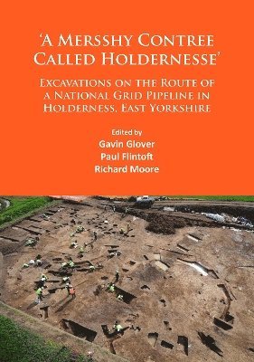 bokomslag A Mersshy Contree Called Holdernesse: Excavations on the Route of a National Grid Pipeline in Holderness, East Yorkshire