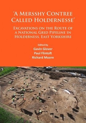 bokomslag 'A Mersshy Contree Called Holdernesse': Excavations on the Route of a National Grid Pipeline in Holderness, East Yorkshire